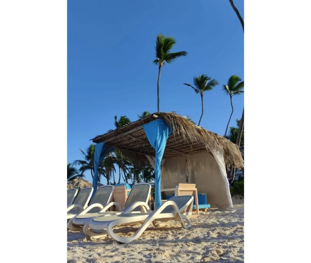 Escapada En Bavaro, Vista Piscina, Playa Los Corales A Solo Pasos Punta Cana Apartamento